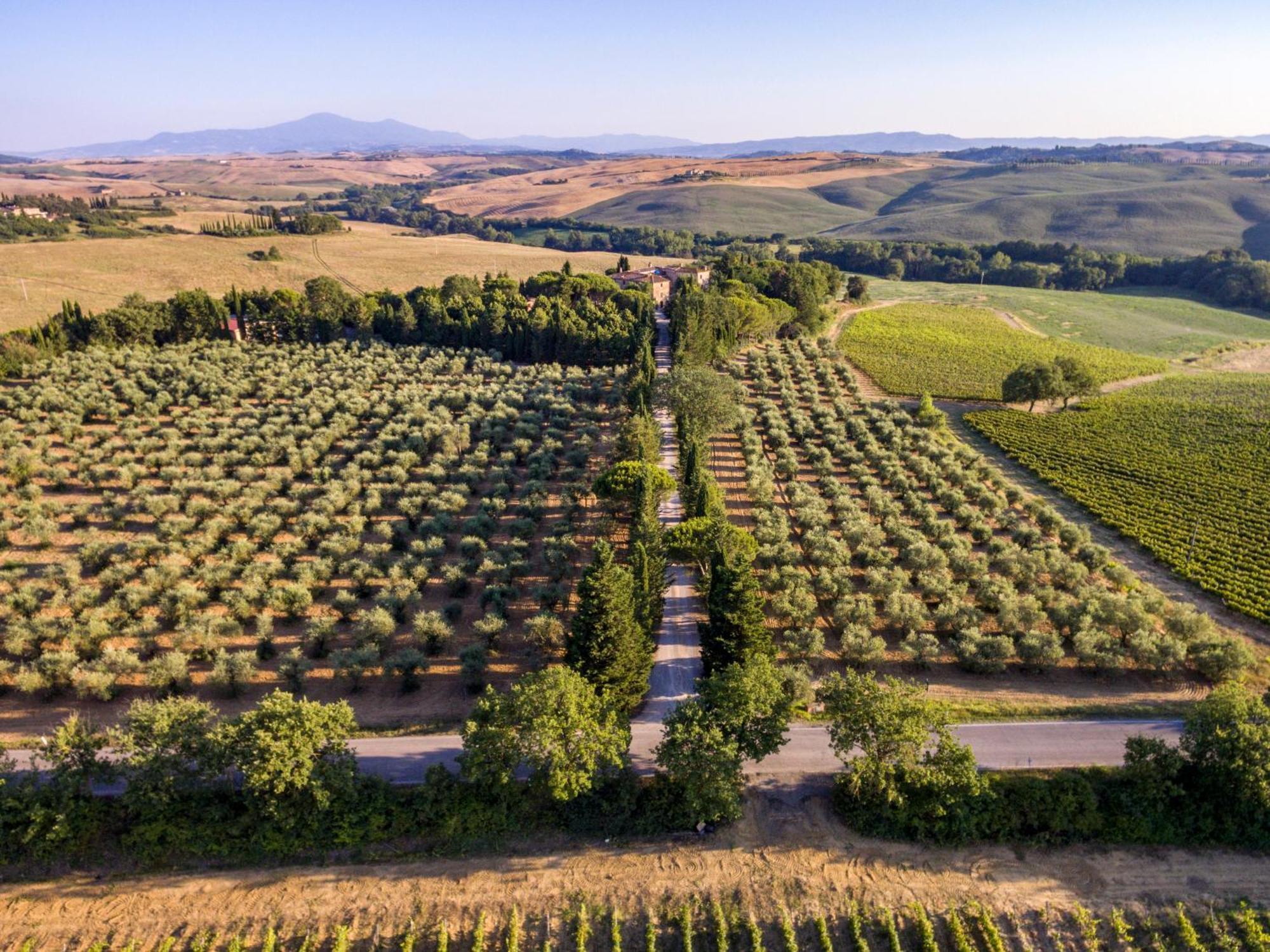 Agriturismo Pometti - Fattoria La Selva Trequanda Exterior foto
